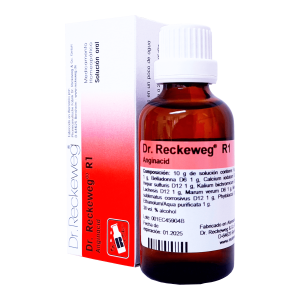 Frasco de solución homeopática Dr. Reckeweg R1 Anginacid, que contiene 10 g de solución con ingredientes activos como Kalium bichromicum D12 y Lachesis D12. Presentado en un envase de vidrio oscuro para proteger su contenido y acompañado de una caja informativa. Ideal para el tratamiento de afecciones anginosas y mejora del bienestar respiratorio.